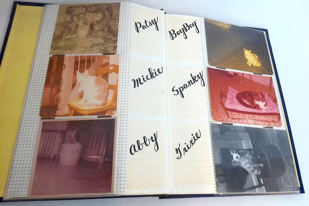 Vintage 1970s Pet Photo Album Photos Cats Dogs Horse Ephemera 35 Pictures